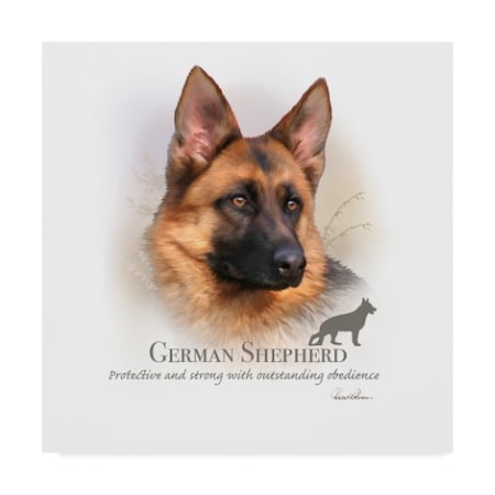 Howard Robinson 'German Shepherd' Canvas Art,24x24
